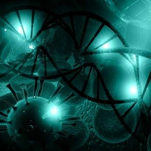 B349 by Gabriel França C. S