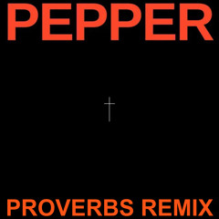 Flowdan, Lil Baby & Skrillex - Pepper (Proverbs Techno Remix)