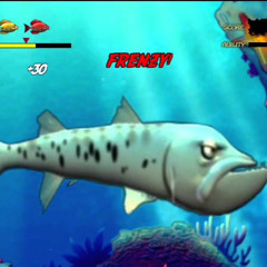 Barracuda Anthem