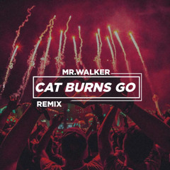 Cat Burns Go (Mr Walker Remix)mp3