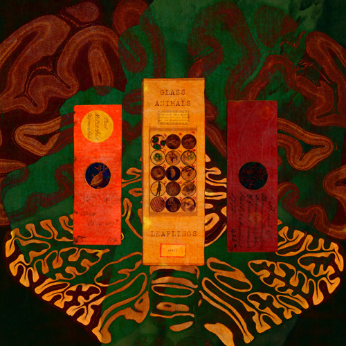 Stream Cocoa Hooves Part II by Glass Animals Listen online for free