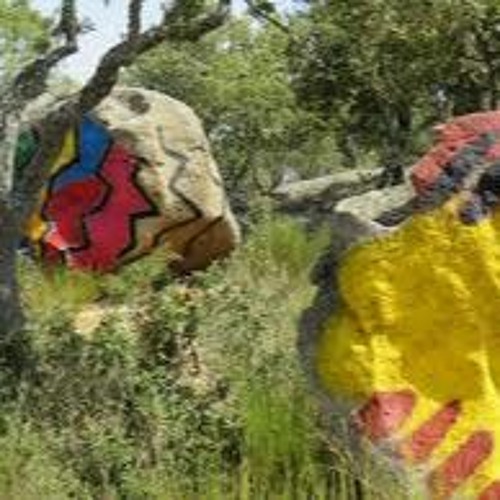 bajozero*afrotropikal