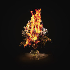 LET IT BURN