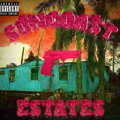 SUNCOAST ESTATES (prod.x9beats)