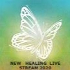 PARADOX @ NEW HEALING FESTIVAL - LIVESTREAM (2020)