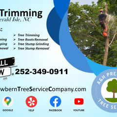 Tree Trimming Emerald Isle, NC