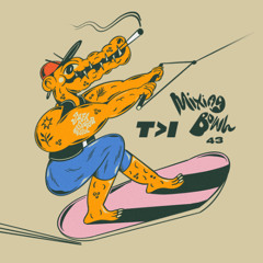 Sofa Sound Mixing Bowl 43 - T>I