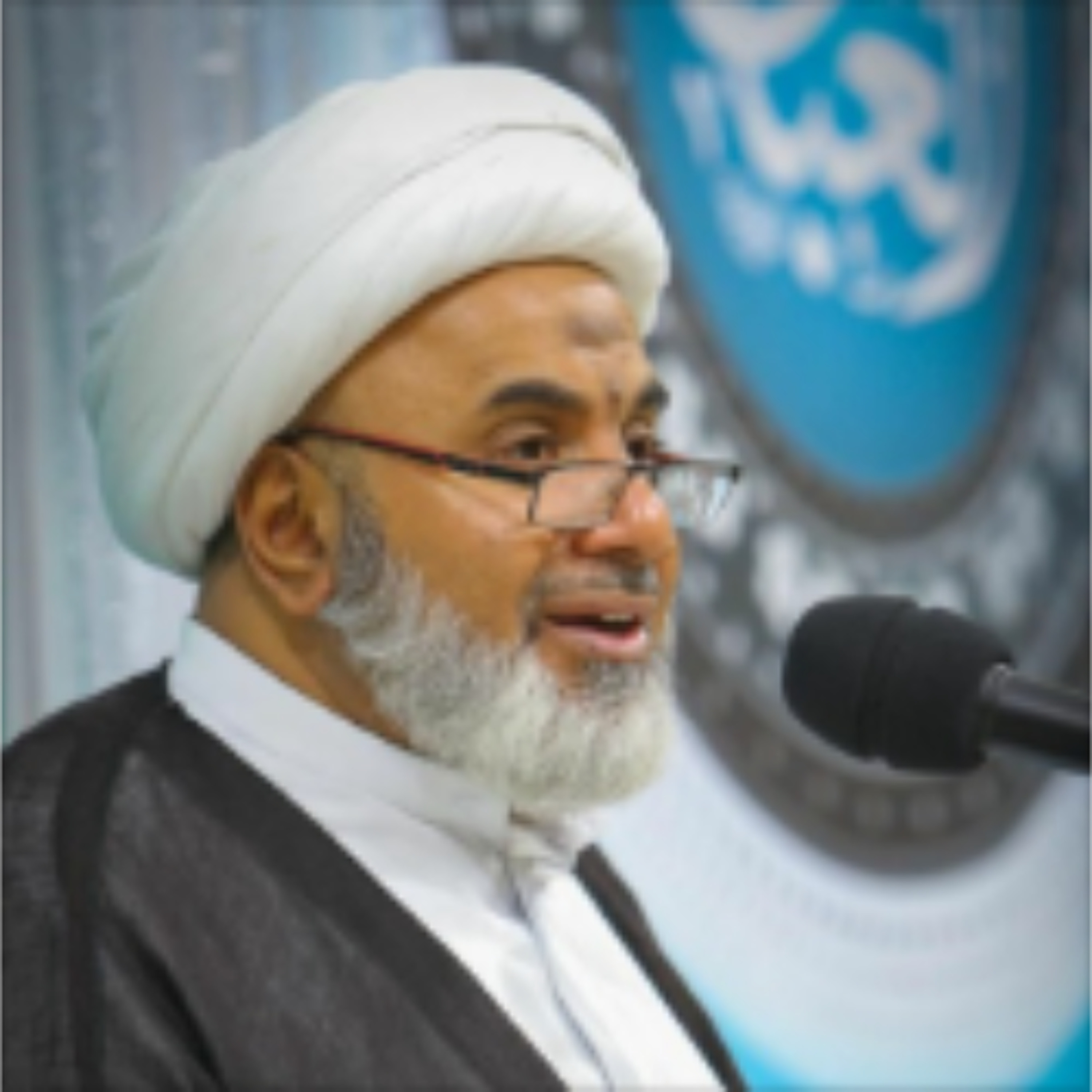 أضواء على الأحاديث الواردة في الإمام المهدي عجل الله فرجه | العلامة الحجة الشيخ حسين العايش | شعبان 1446هـ episode artwork