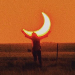 lady bird - Peter McPoland (guitar)