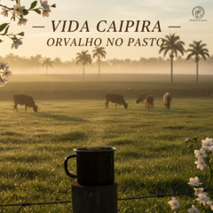 Vida Caipira Orvalho no Pasto