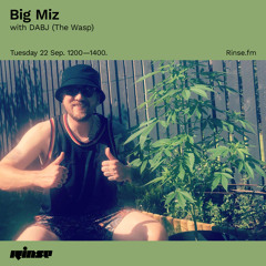 Big Miz with DABJ (The Wasp) - 22 September 2020