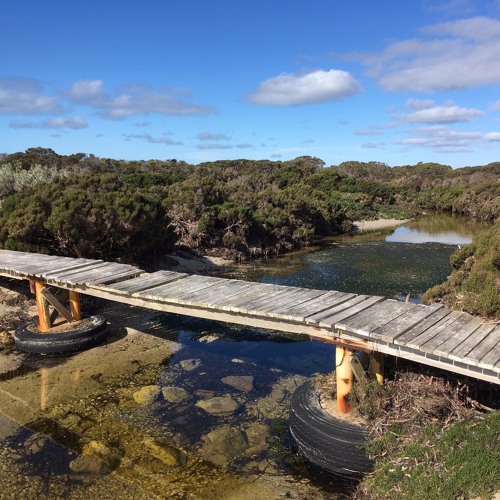 Lagoon Inlets Stream FKISM: Lagoon inlet, Strawbridge Point (near Sapphiretown ...