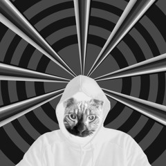 the secret _ unknown ƒ #019