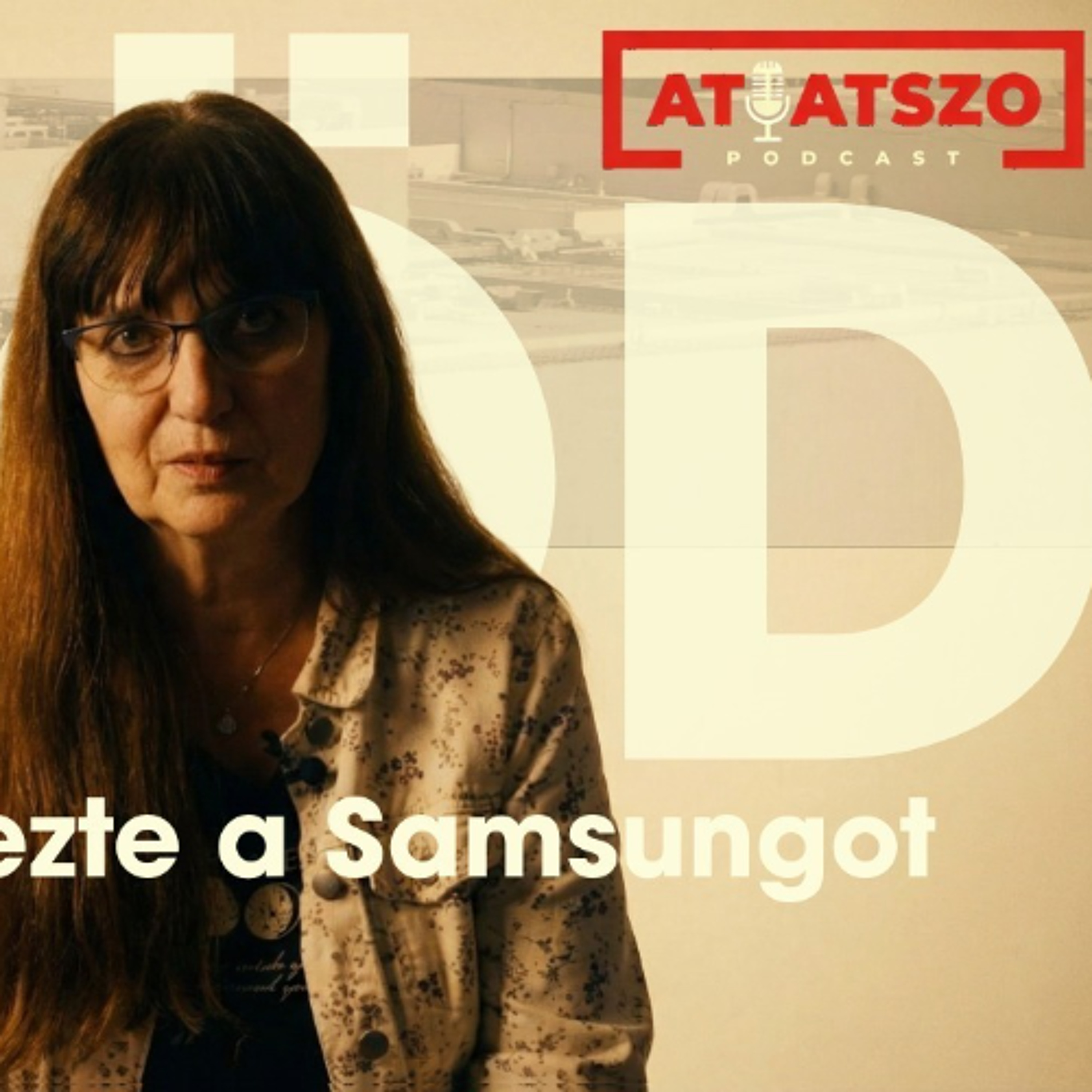 Bodnár Zsuzsa - az újságíró, aki leleplezte a Samsung gödi akkumulátorgyárát