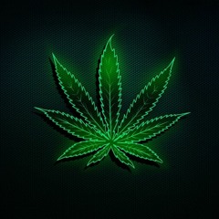 DonnYaGun - Пушим