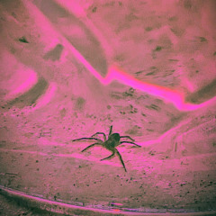 Before You Run _demo!!!! 2025