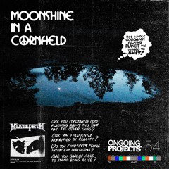 MOONSHINE IN A CORNFIELD