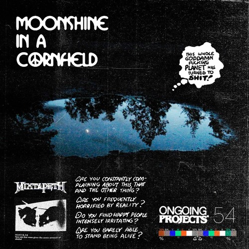 MOONSHINE IN A CORNFIELD