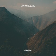 David Calo - Within [3rd Avenue]