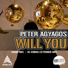 Peter Agyagos - Will You (DJ Cobra Remix) PW