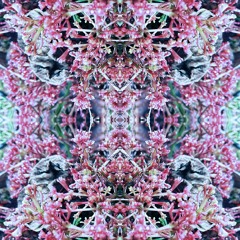Opalescent