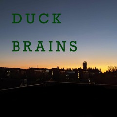 Duck Brains: A Conversation with Hadil Abuhmaid