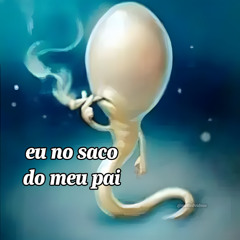 CHEI DE NOVINHA {ESTOURADA}