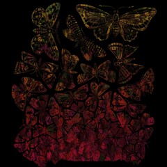 Stefan Torto - Inverse Kinematic