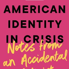 ⚡PDF❤ American Identity in Crisis: Notes from an Accidental Activist