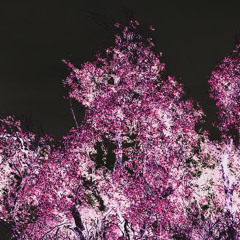 NEZUKO (Prod. CvrCrvsh)