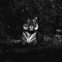 NonGrata, Кадим(Кто ТАМ)- Сгораем