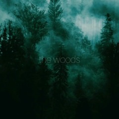 the woods