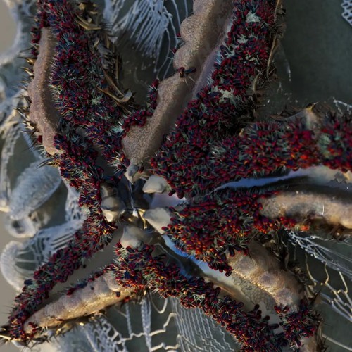 001 - Melodic Techno & Indie Dance