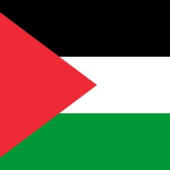 Hamas Song Mocks Israeli MIA Oron Shaul