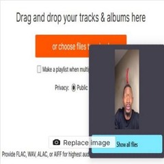 The Diss War Timeline