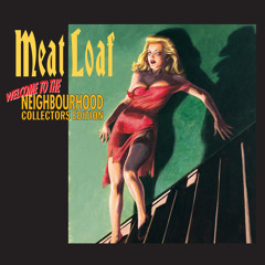 I'd Do Anything For Love (But I Won't Do That) (Live From The Beacon Theatre, New York, U.S.A./1995)