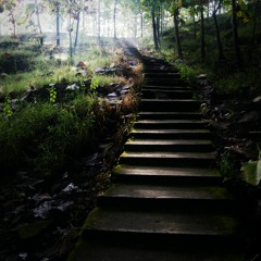 BlauDisS - the first step