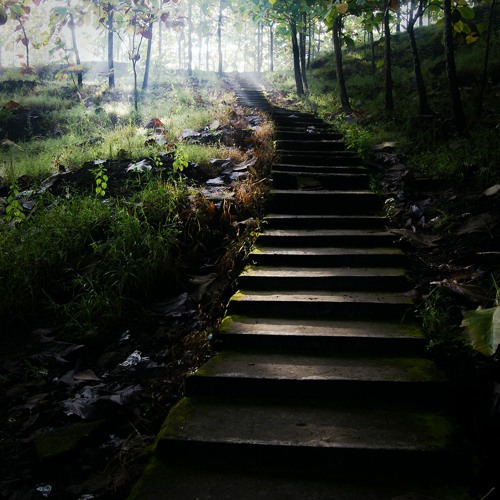 BlauDisS - the first step