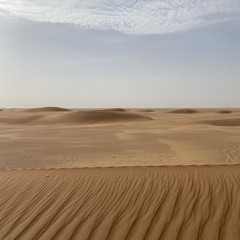 بكاؤكُما يشْفي وإن كان لا يُجْدي، (ابن الرومي يرثي ابنه)، (صوت: أسامة النهاري).