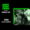 DSSmix #25 - Gabo (Love Lunatics) DJ mix artwork - Electronic music tracklist cover image
