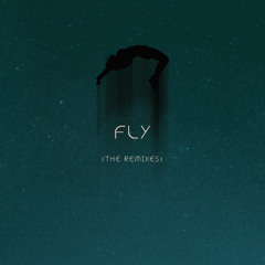 Fly feat. Sena (Amin Elyar Electro Pop Mix)