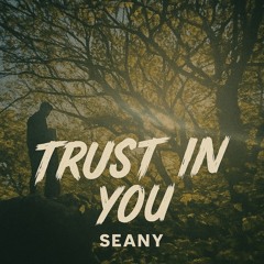 Seany - Trust In You (Extended Mix)