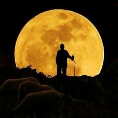 Ertuğrul Erkişi - Ah Efendim Şu Gurbetlik Tez Bitsin!