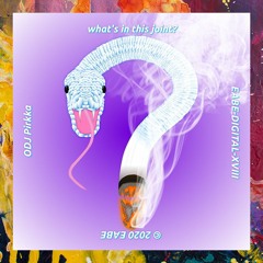 PREMIERE: ODJ Pirkka — What's In This Joint (Original Mix) [EABE]