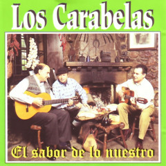 El Torito Sebastian
