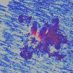 Luciernagas