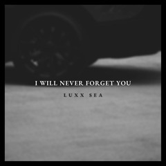 I WILL NEVER FORGET YOU
