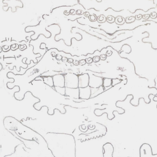 trader joes brand bag of small oranges