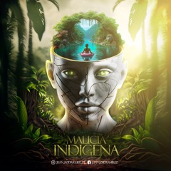 MALICIA INDIGENA