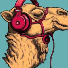 Camelphat Of all time